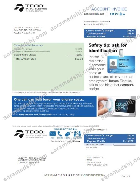 USA TECO utility bill Word and PDF template